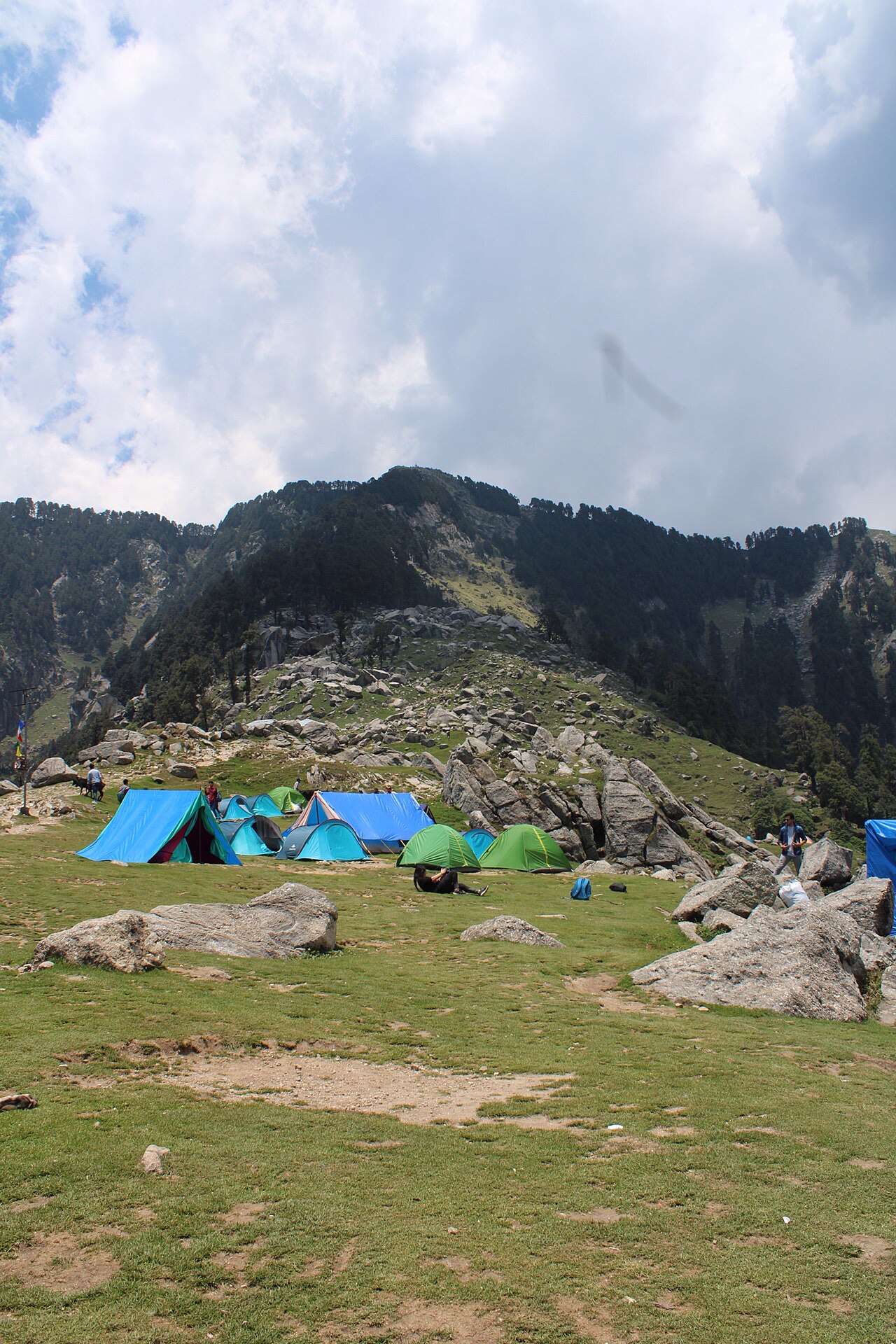 Triund camps, Dharamshala