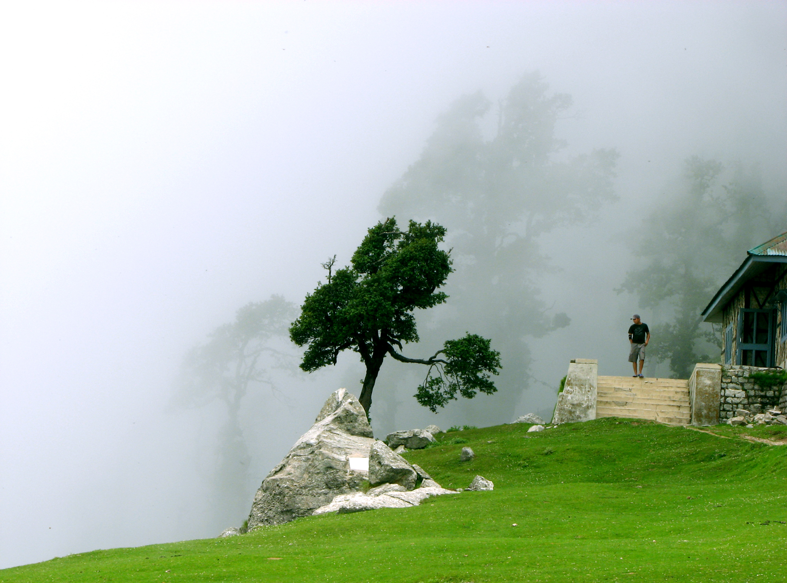 Kangra valley, Dharamshala
