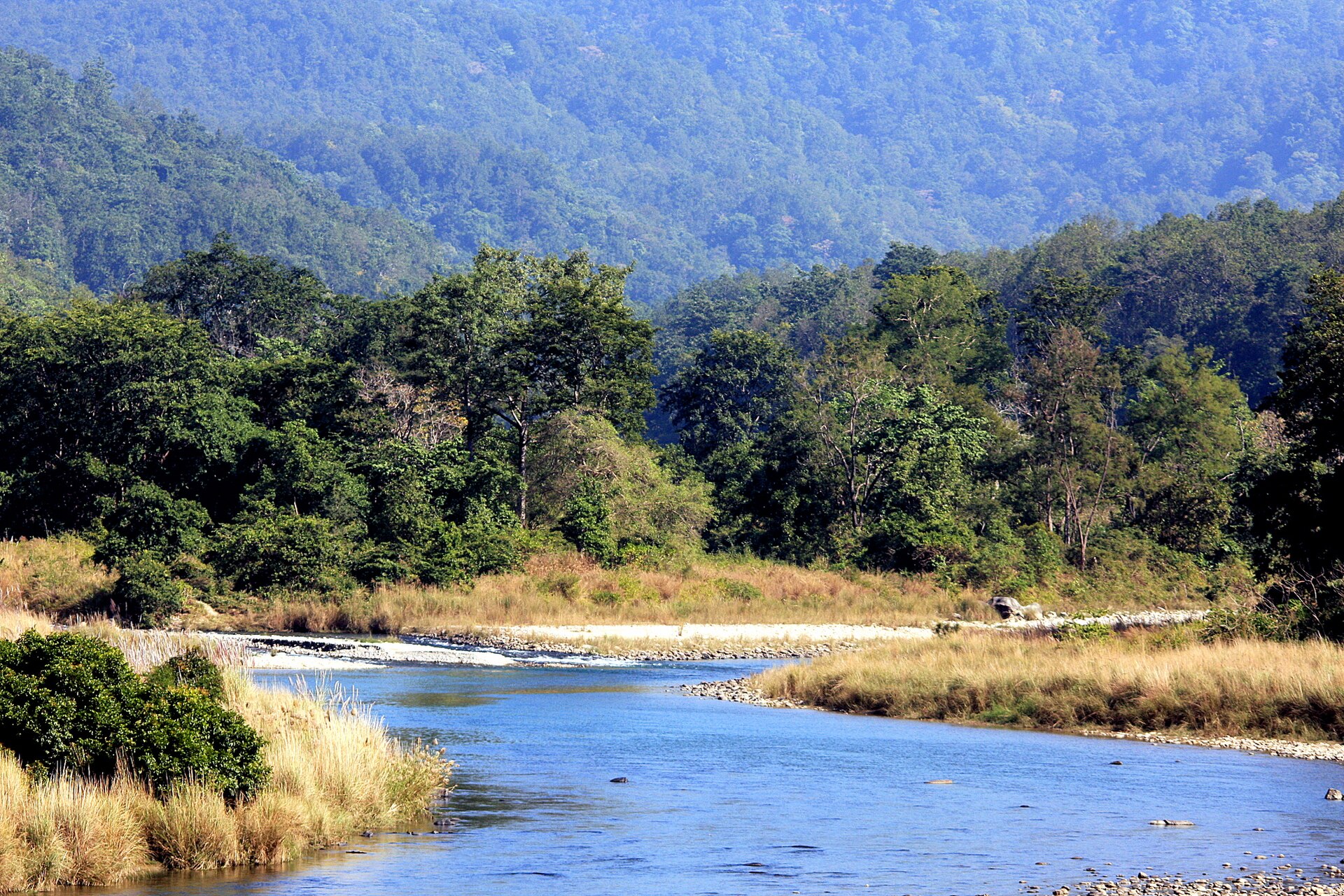 Dhikala zone, Jim Corbett