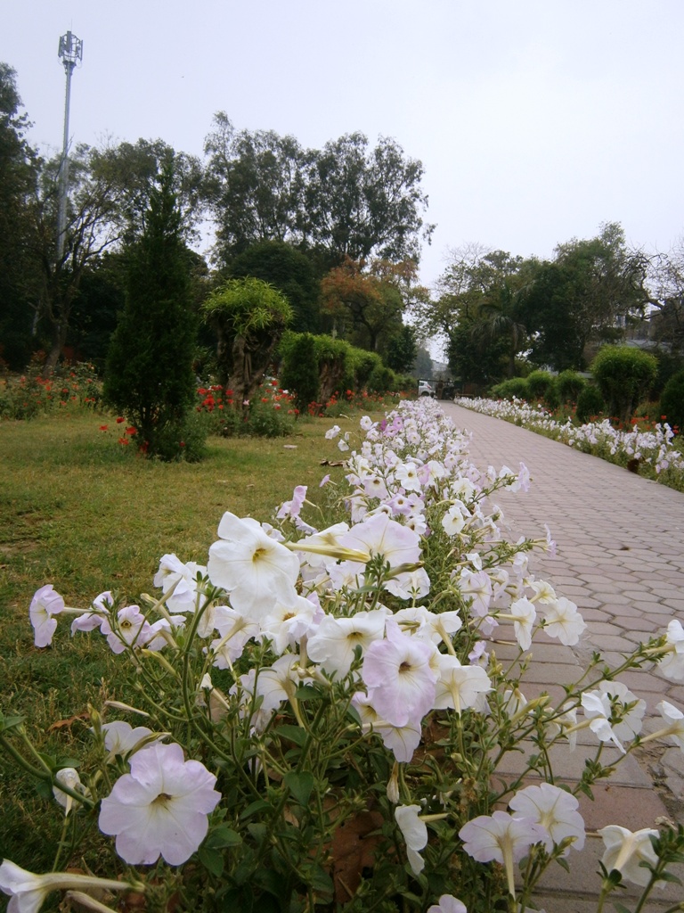 Gol Bagh — Ludhiana