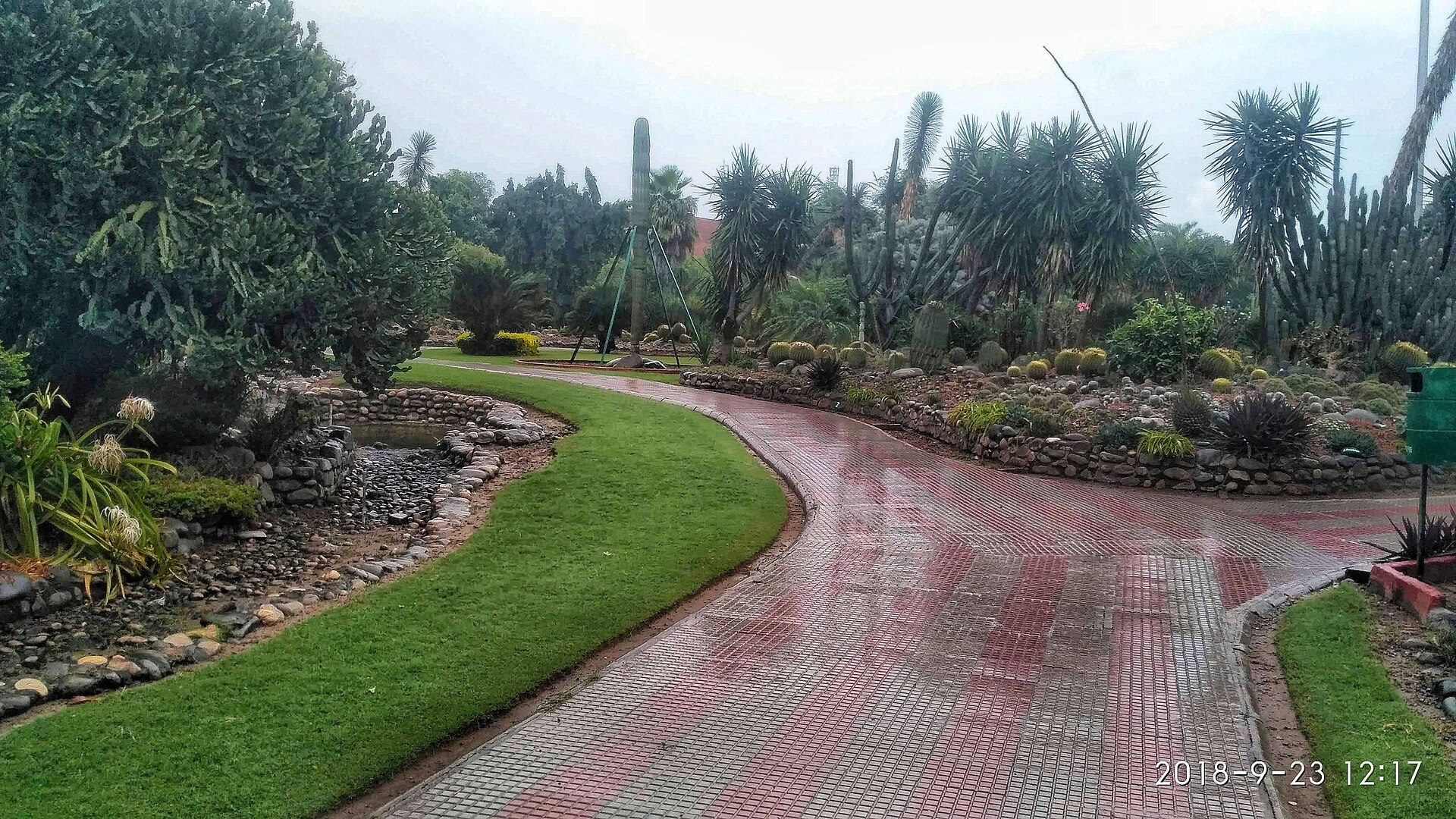 National Cactus Garden — Panchkula